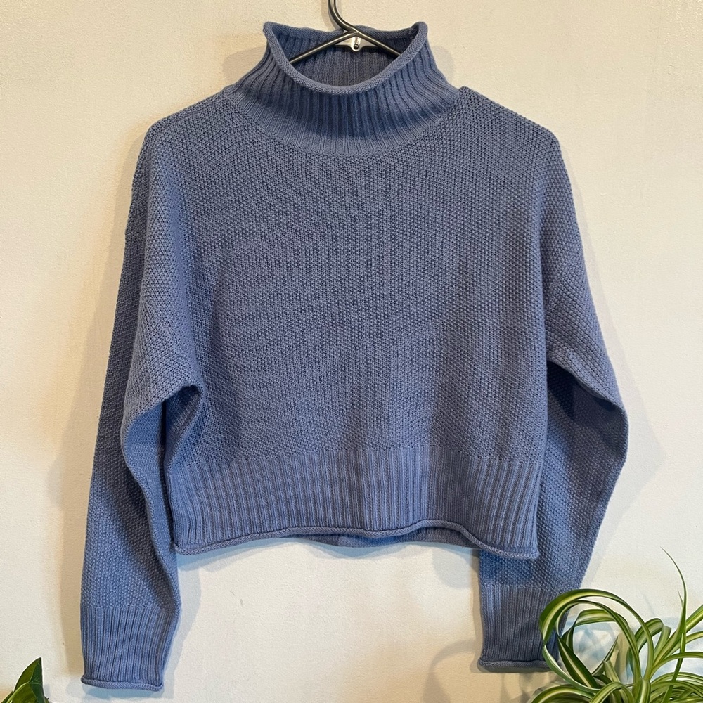 Streetwear Society, sized medium, cropped turtleneck.